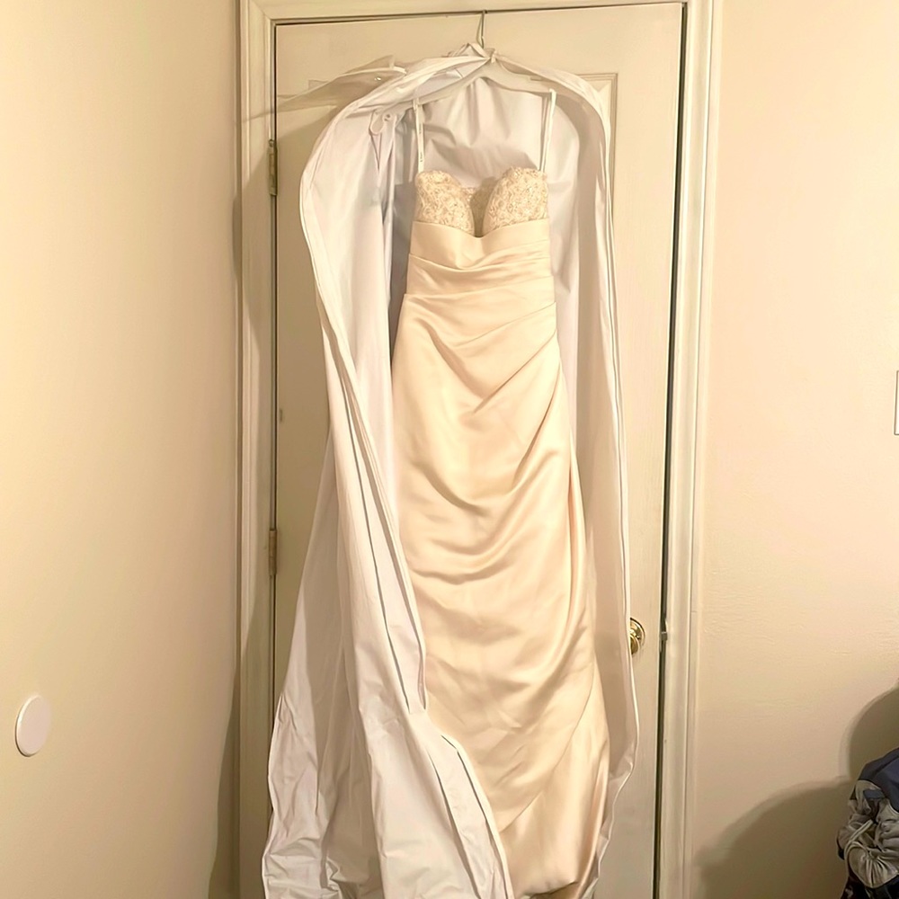 Wedding Dress from David’s Bridal